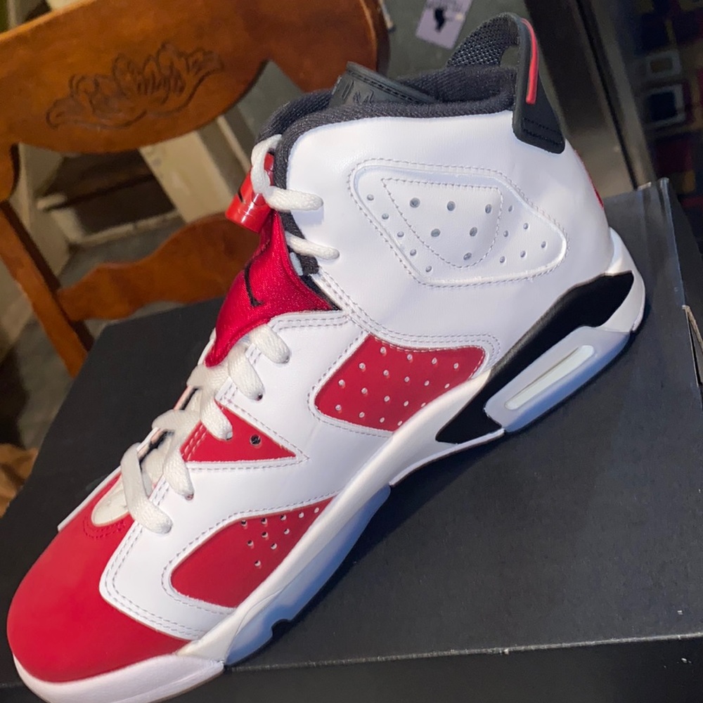 Air Jordan 6’s
